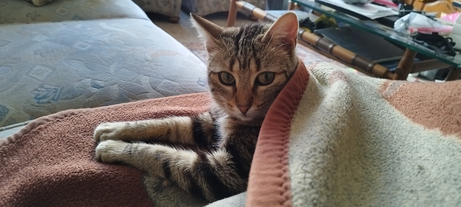 WhatsApp Bild 2025 04 20 um 11.56.57 9b6cc8fe